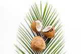 Coconuts and leaves - tropical still life on white background top-down