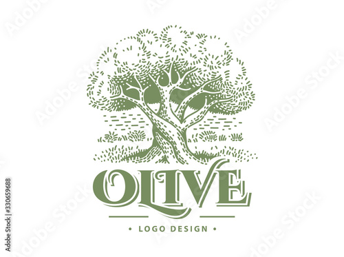 Olive label, emblem design. Olive tree llustration