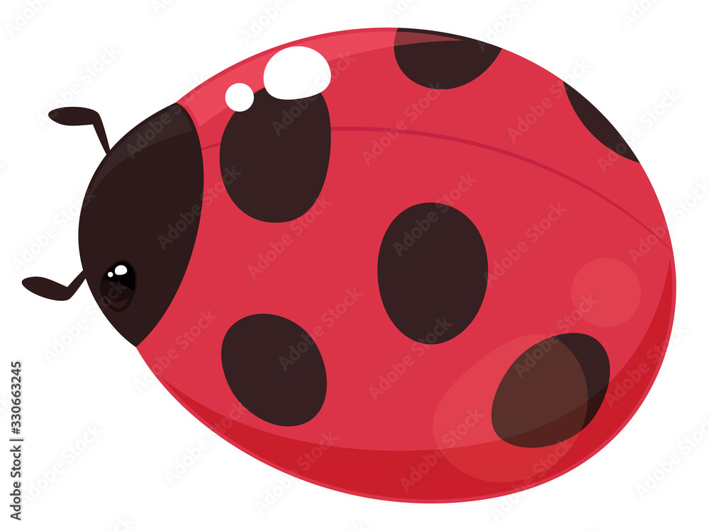 Obraz premium テントウムシのイラスト