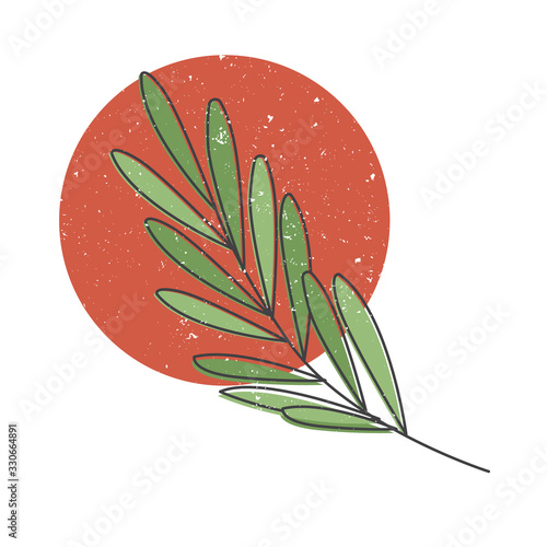 Rosemary leaves hand drawn icon, rosemary herb colorful vector illustration for printing