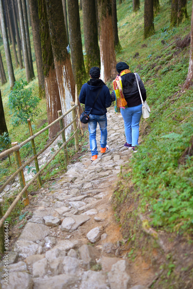 Man and woman hikers trekking in mountains. Young couple walking with backpacks in forest, Darjeeling , India.