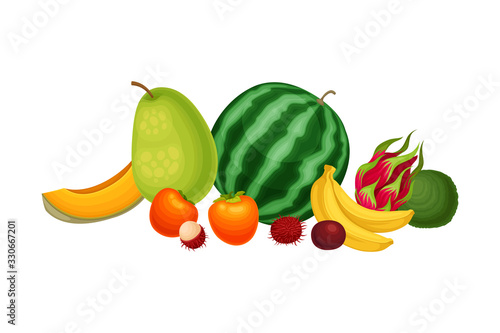 Mixed Exotic Fruits Arrangement or Composition Vector Illustration