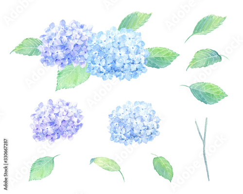 あじさい　水彩イラスト　パーツセット　