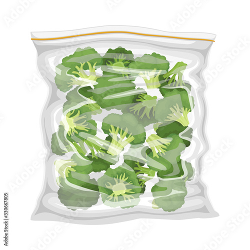 Frozen Broccoli Stored in Plastic Package Vector Illustration