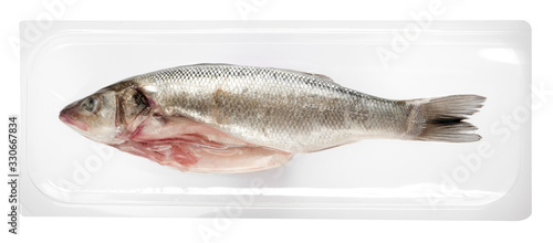 Photography Vacuum packed whole fresh sea bass