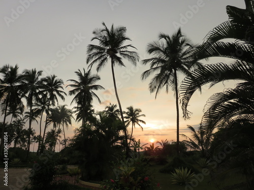 Landscape - Beautiful Sunset and many Coconut Trees