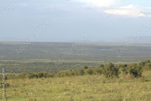 Landscape - Green Grass on Hill