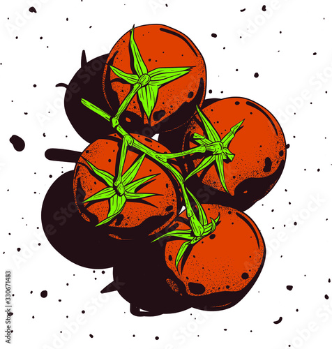 Pomidory na gałęzi ilustracja i grafika wektorowa