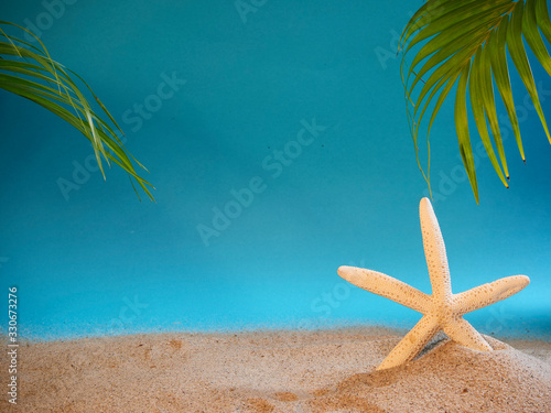 Shell and starfish on beach.