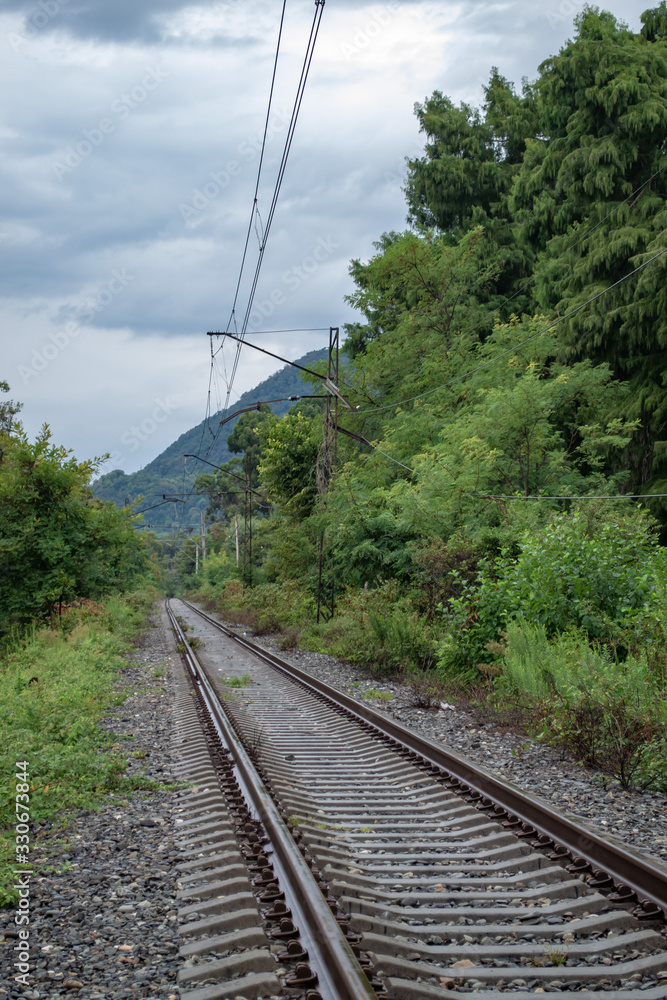 railway in the middle of green forest railway in the middle of green forest