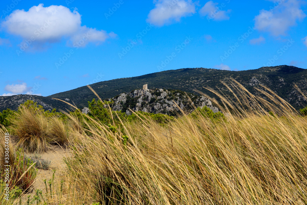 Alberese (GR), Italy - June 10, 2017: The beach in Uccellina Natural Reserve, Alberese, Grosseto, Tuscany, Italy, Europe Alberese (GR), Italy - June 10, 2017: The beach in Uccellina Natural Reserve, Alberese, Grosseto, Tuscany, Italy, Europe
