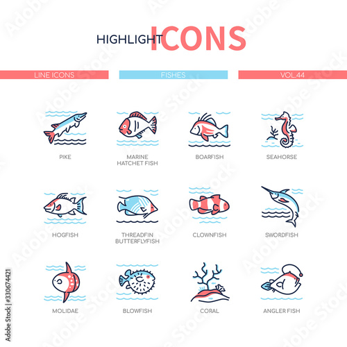Fish species - modern line design style icons set