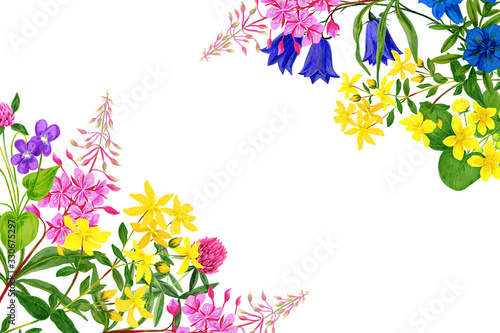 Fototapeta Naklejka Na Ścianę i Meble -  Watercolor field flowers, bright colors, corner frame