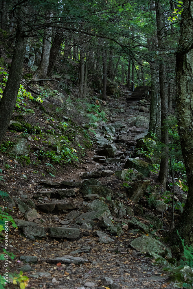Stone staircase in dark forest with ligtht coming from the top. Concepts of a path, hope, pathway, journey