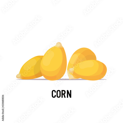 corn beans organic healthy vegetarian food on white background vector illustration