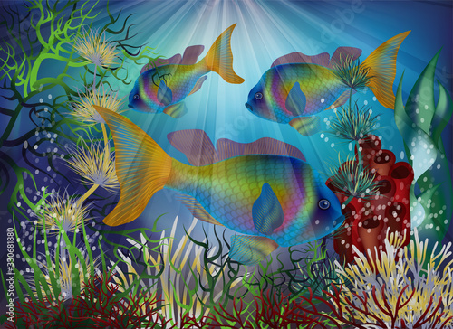 Underwater wallpaper with tropical fish, vector illustration