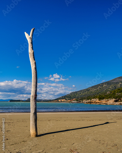Spiaggia del parco della Maremma (Toscana) © Guglielmo