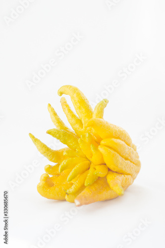Buddha's Hand, Citrus Medica, Sarcodactylis, the fingered citron