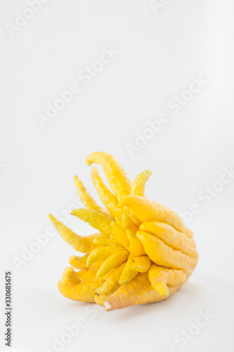 Buddha's Hand, Citrus Medica, Sarcodactylis, the fingered citron photo