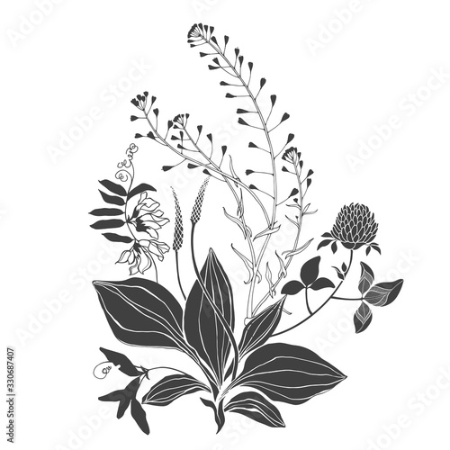 A bouquet of wild flowers. Summer floral composition. Black and white vector illustration. Isolated element for design on white. Silhouette.