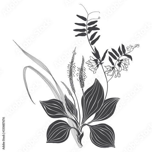 Wildflowers and herbs, floral arrangement. Black and white vector illustration. Isolated element for design on white. Silhouette.