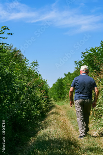 Anziano signore, uomo,  cammina tra la folta vegetazione selvatica della campagna.