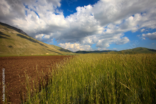 Norcia (PG), Italy - May 25, 2015: The fields around Castelluccio di Norcia, Highland of Castelluccio di Norcia, Norcia, Umbria, Italy, Europe