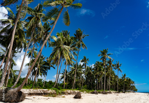 White sand tropical beach of Bohol, Philiipines