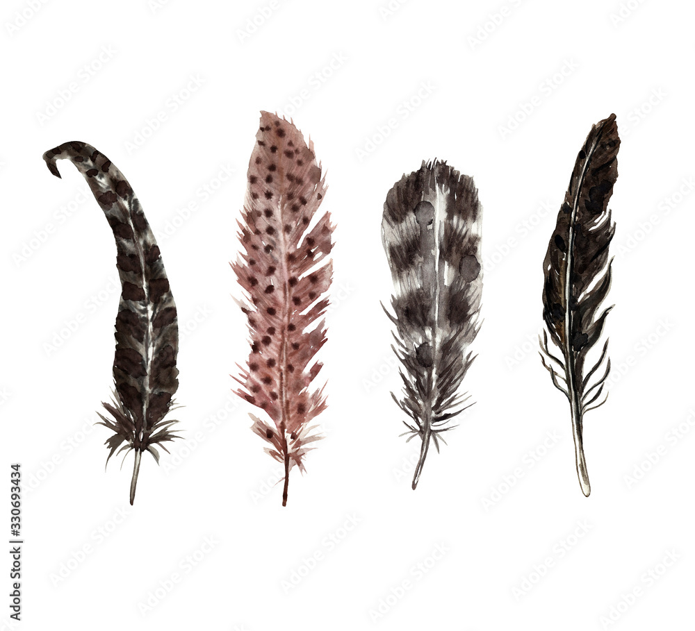 Watercolor feathers set. Hand painted illustration, isolated on white background. Black bird feather collection for cards, design. Boho style Watercolor feathers set. Hand painted illustration, isolated on white background. Black bird feather collection for cards, design. Boho style