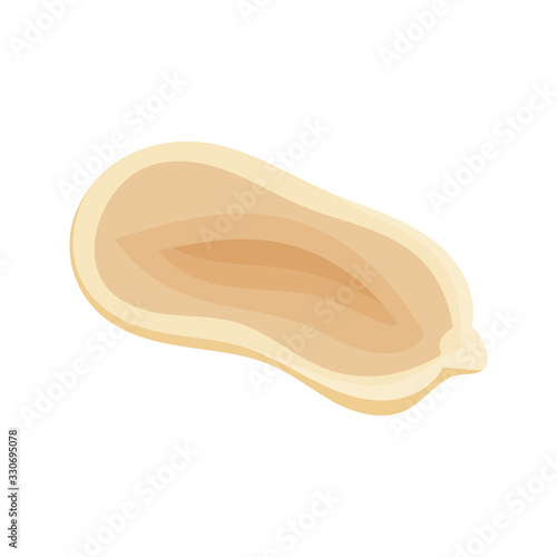 Fresh peanuts closeup. Colorful simple flat cartoon style. Isolated vector illustration.