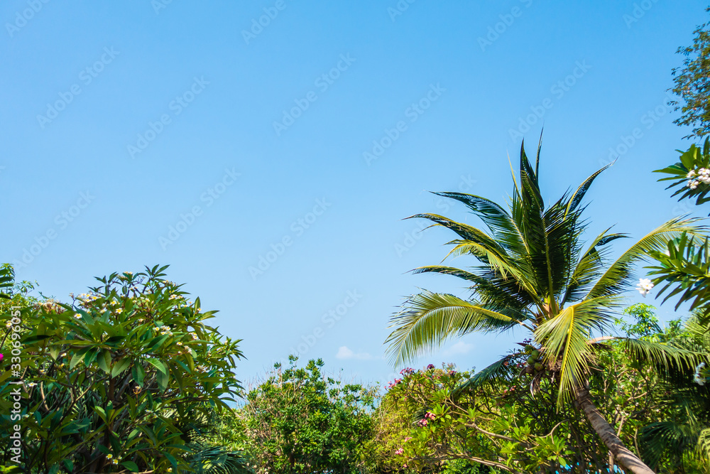 Beautiful tropical nature of beach sea ocean bay around coconut palm tree Beautiful tropical nature of beach sea ocean bay around coconut palm tree