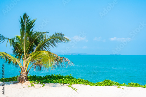 Beautiful tropical nature of beach sea ocean bay around coconut palm tree