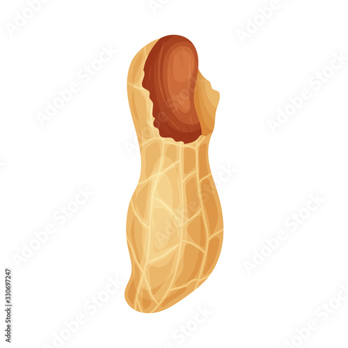 Fresh peanuts closeup. Colorful simple flat cartoon style. Isolated vector illustration.