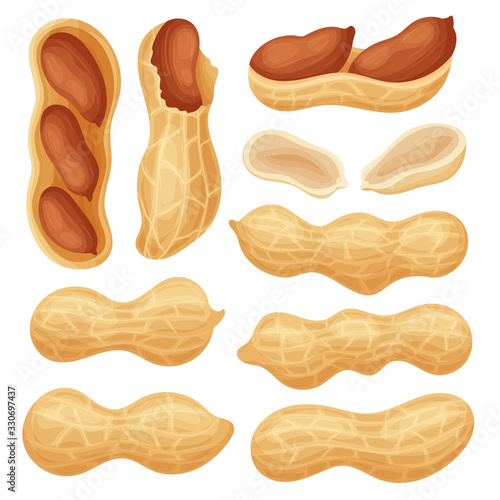 Set of fresh peanuts whole and crushed. Peanut fruits of different shapes and in the context of close-up. Colorful simple flat cartoon style. Isolated vector illustration.