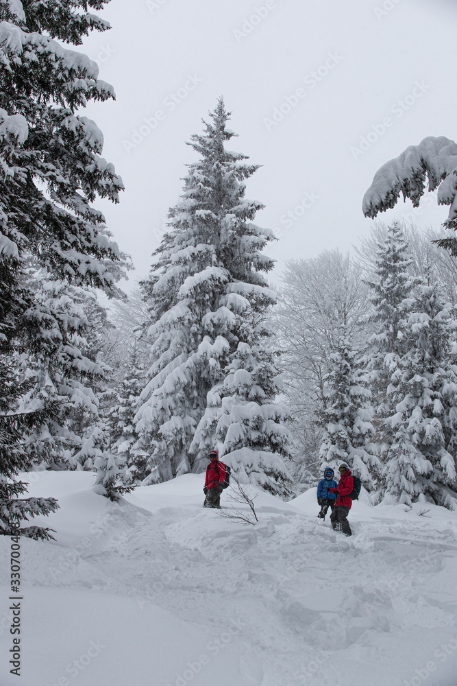 freeride skiing trees