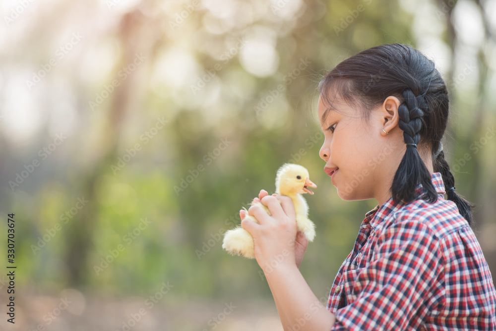 happy little girl with of small ducklings sitting outdoor. portrait of an adorable little girl, preschool or school age, happy child holding a fluffy baby gosling with both hands and smiling.. happy little girl with of small ducklings sitting outdoor. portrait of an adorable little girl, preschool or school age, happy child holding a fluffy baby gosling with both hands and smiling..
