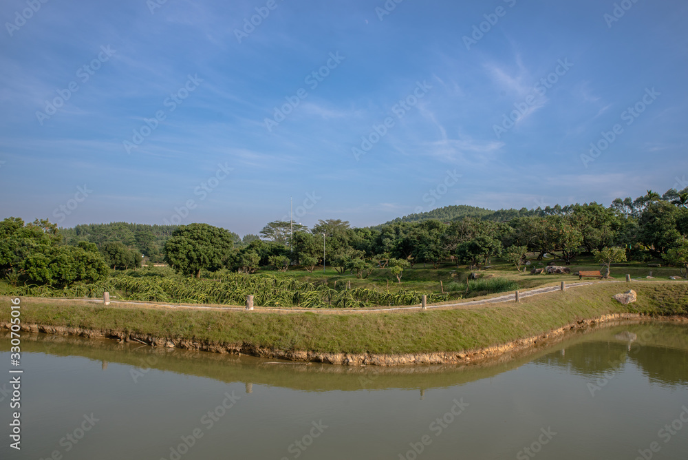 The country river reflects the trees