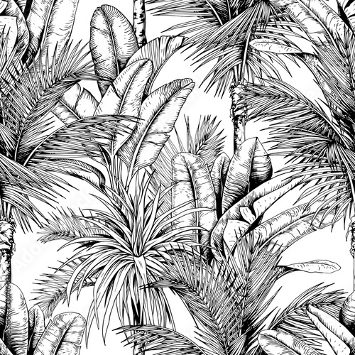 Black and white tropical pattern with sketchy palm trees.