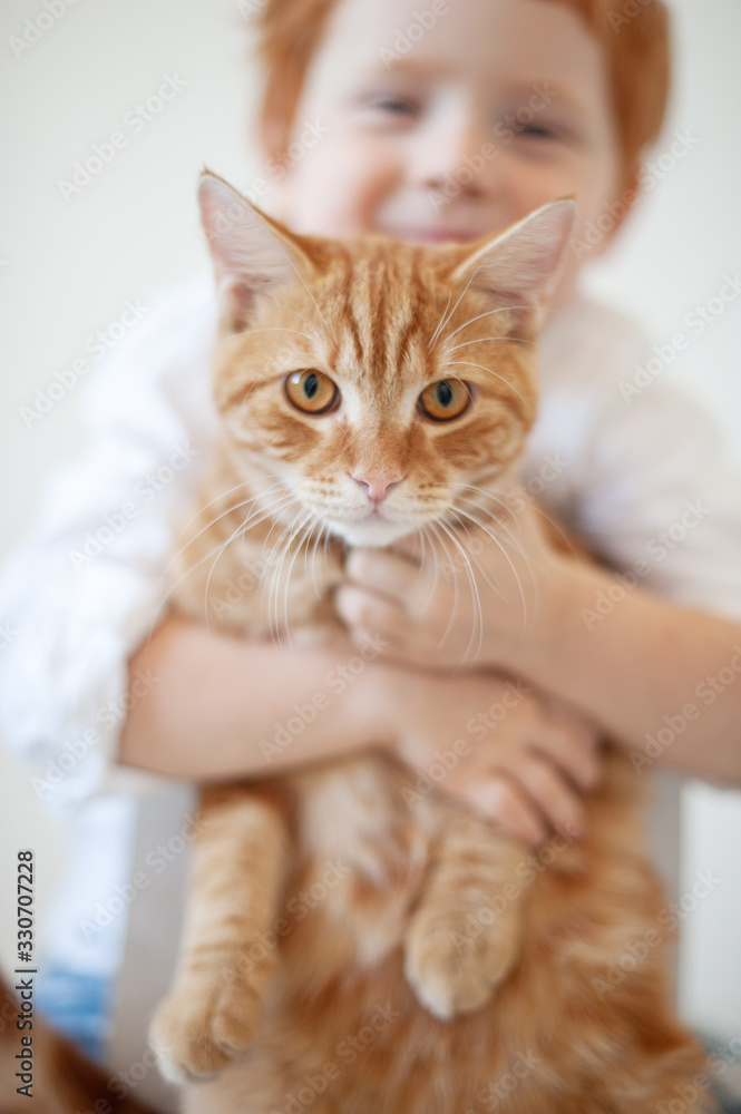 Funny red-haired boy with a red cat