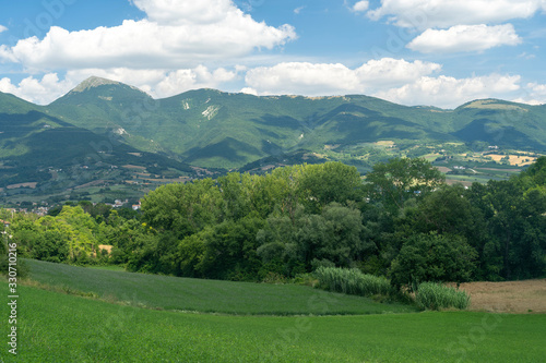 Rural landscape near Fabriano, Marches