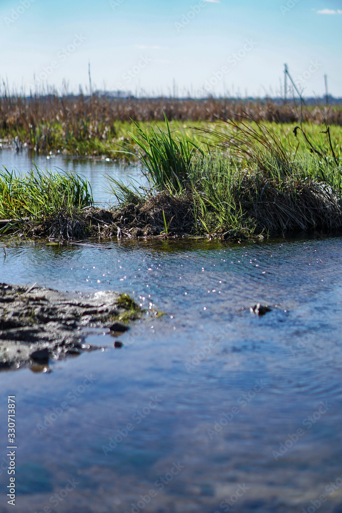 Fototapeta premium Beautiful spring river in the flowing nature. Colorful landscape in the morning and evening. Travel to deserted places of the world. Stock photo for design