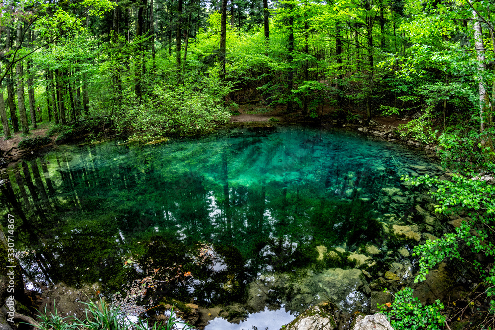 Obraz premium Beautiful and famous emerald colored lake Ochiul Beiului in the woods, forest of Caras Severin county, Beusnita National Park, Bozovici, Romania