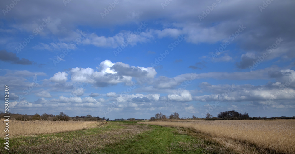 National Park the Weerribben Overijssel Netherlands. De Wetering. Nederland. Peetlands and reedfields. De Wieden. National Park the Weerribben Overijssel Netherlands. De Wetering. Nederland. Peetlands and reedfields. De Wieden.
