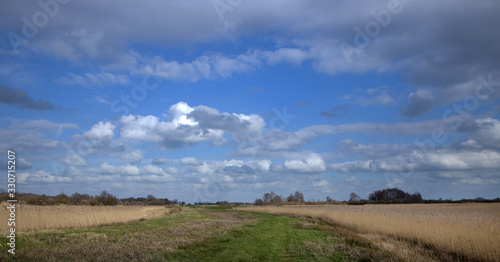 National Park the Weerribben Overijssel Netherlands. De Wetering. Nederland. Peetlands and reedfields. De Wieden. © A