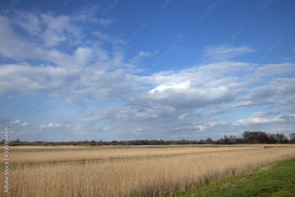 National Park the Weerribben de Wieden Overijssel Nerherlands. De Wetering. Nederland. Peetlands and reedfields.
