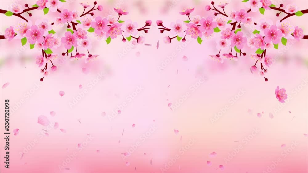 Pink Cherry blossom branch with falling petals HD Animation. Motion Japanese spring sakura background Pink Cherry blossom branch with falling petals HD Animation. Motion Japanese spring sakura background