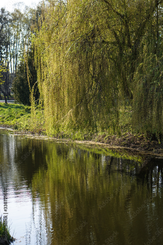 Beautiful spring river in the flowing nature. Colorful landscape in the morning and evening. Travel to deserted places of the world. Stock photo for design Beautiful spring river in the flowing nature. Colorful landscape in the morning and evening. Travel to deserted places of the world. Stock photo for design