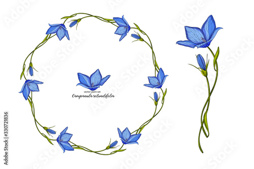 Vector floral bell flower set. Floral plant set