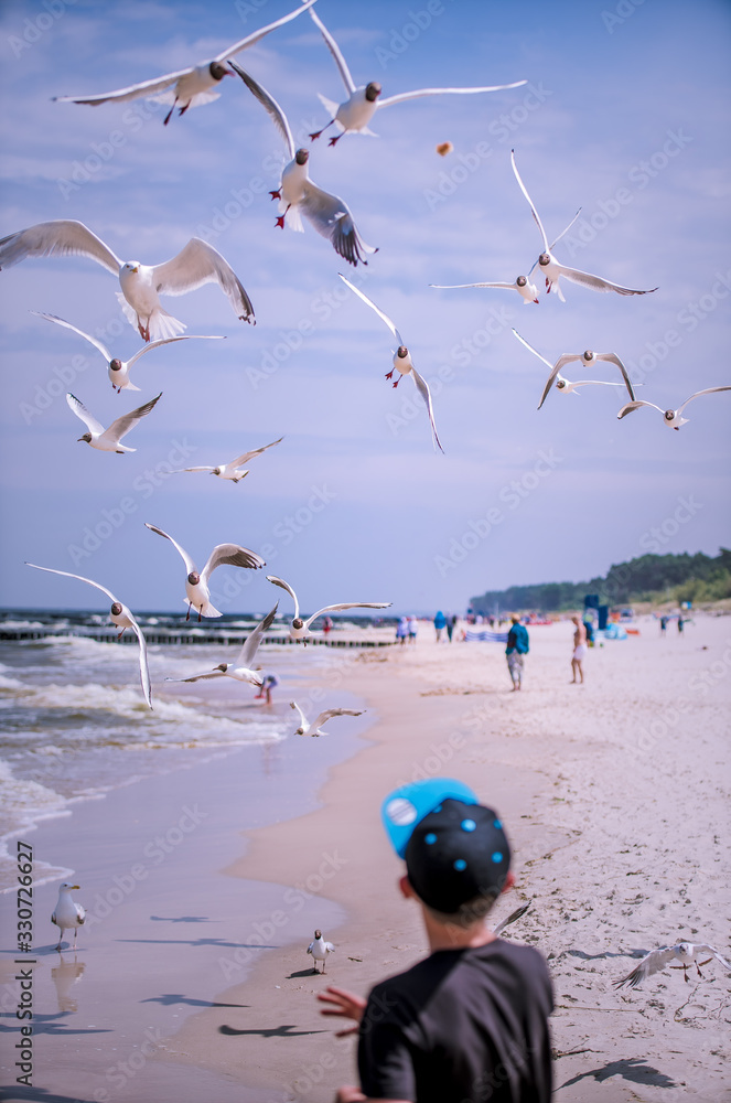 Summer camp, zabawa na plaży nad morzem z mewami, karmienie ptaków - obrazy, fototapety, plakaty 