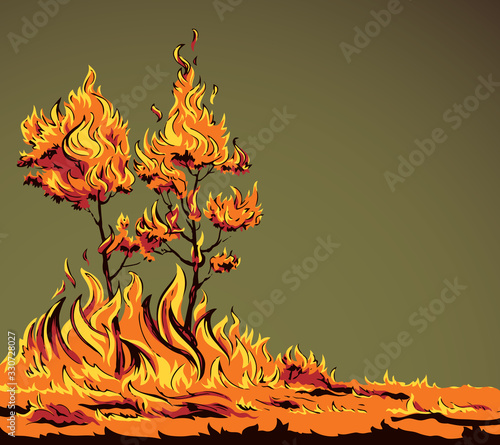Burning forest. Vector drawing sketch